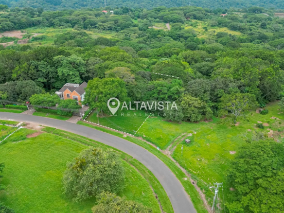 Lote Los Reyes Curva