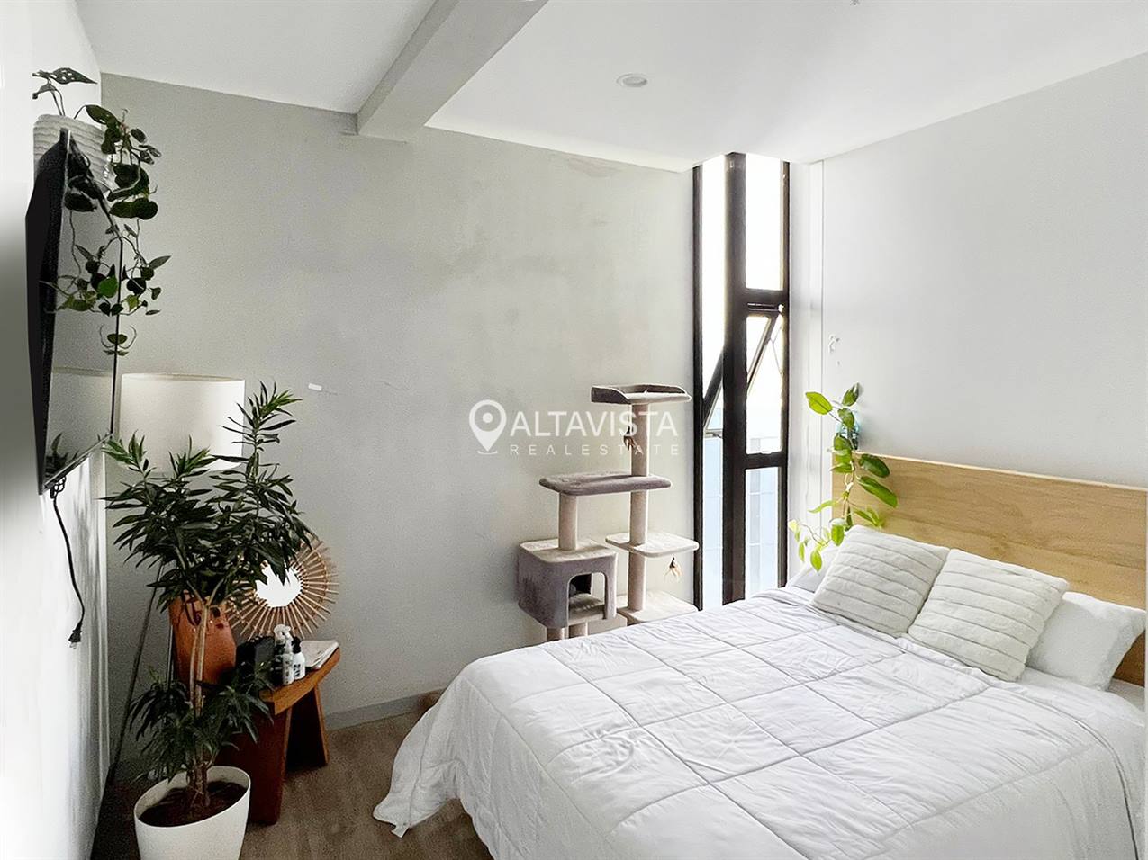 Apartamento Nest Freses